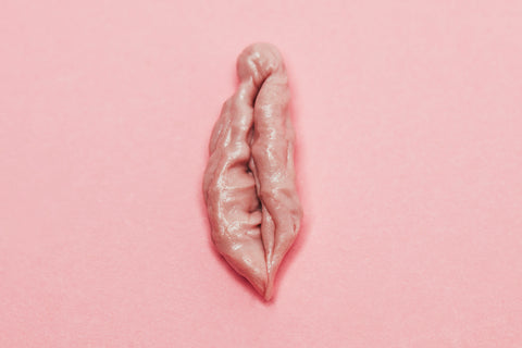 Charlotte Abramow - Vulvotopia XII: Le Chewing-Gum, 2018