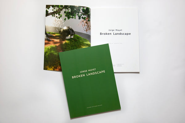 Broken Landscape Exhibition Catalog